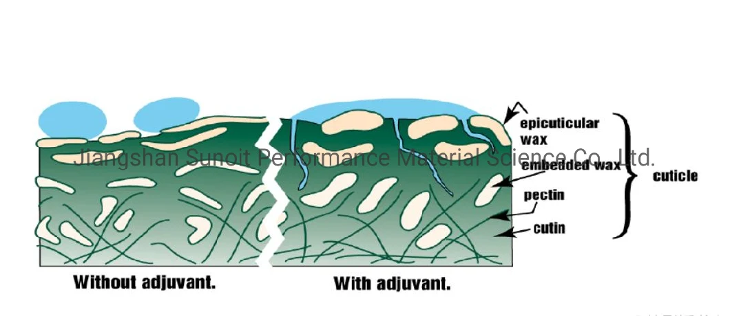 High Wetting and Penetrating Adjuvant for Agricultural, Silicone Spray Surfactant